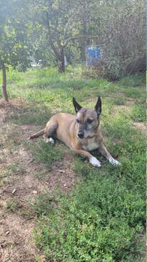 Profile photo of Midi