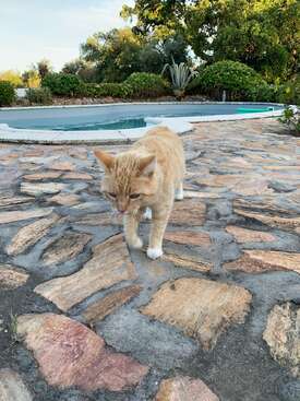 Profile photo of Saartje