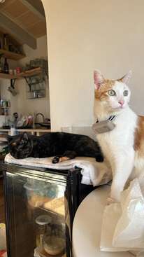 Profile photo of Bruna & Cloe