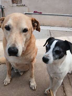 Profile photo of Thor y Leon