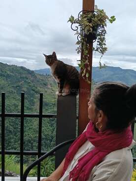 Profile photo of Zeus