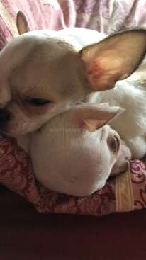 Profile photo of Lare Gina