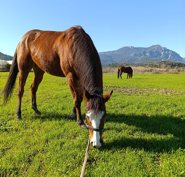 Profile photo of Candy