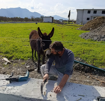 Profile photo of Bernard