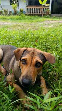 Profile photo of Mr Bear