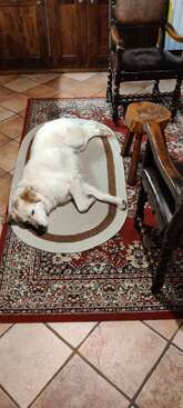 Profile photo of Luna