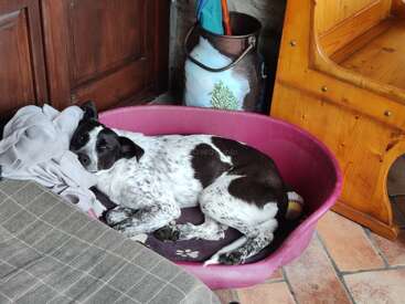 Profile photo of Dottie