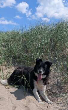 Profile photo of Mollie