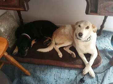 Profile photo of Captain 