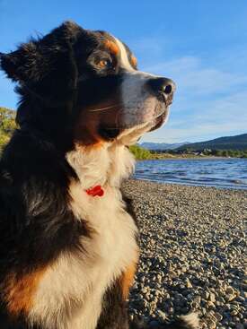 Profile photo of Max