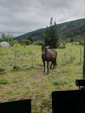 Profile photo of Agustina