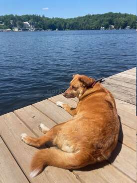 Profile photo of Izzy