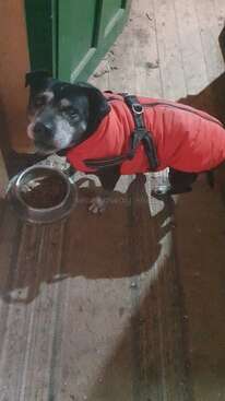 Profile photo of Chezzy