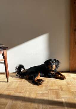 Profile photo of Casco