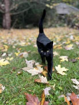 Profile photo of Betty