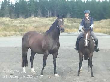 Profile photo of Buster Reynolds 