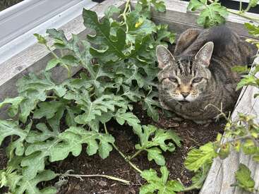 Profile photo of June