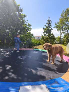 Profile photo of Bigotes