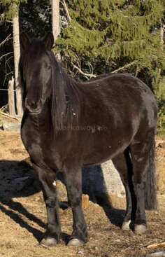 Profile photo of Norella 