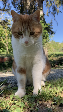 Profile photo of Nietzsche 