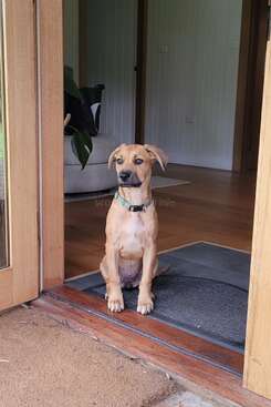 Profile photo of Irie