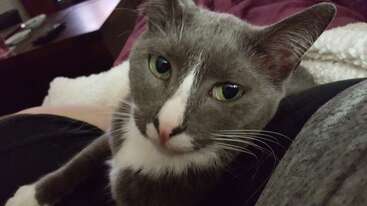 Profile photo of Pip
