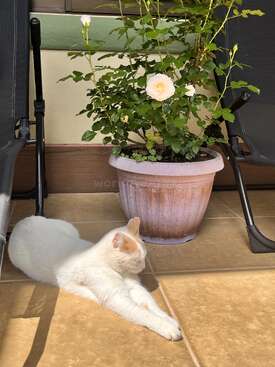 Profile photo of Mia
