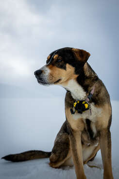 Profile photo of Suka