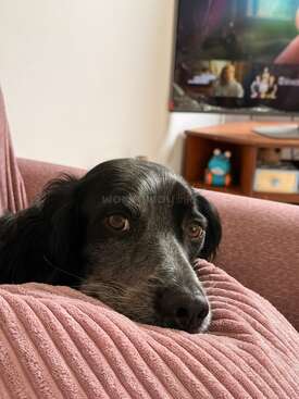 Profile photo of Fred