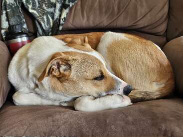 Profile photo of Silla