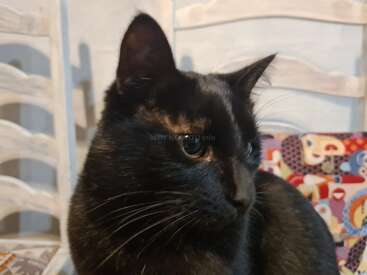Profile photo of Louise