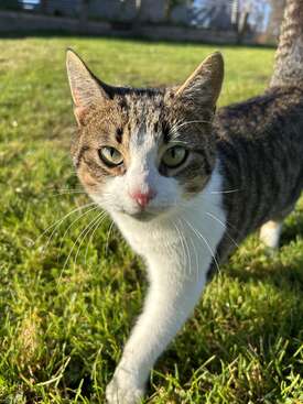 Profile photo of Luise