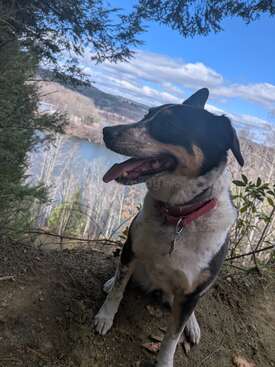 Profile photo of Tonks