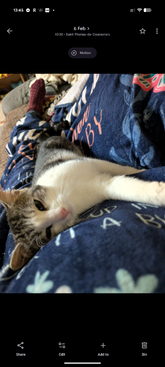 Profile photo of Cobweb 