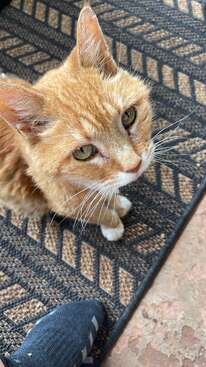 Profile photo of Kitters