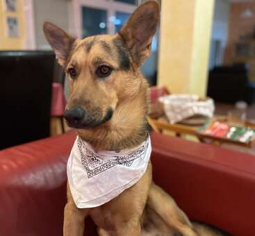 Profile photo of Toby 