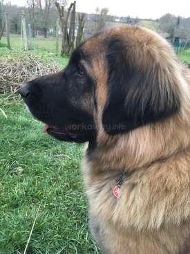 Profile photo of Oita