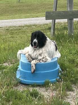 Profile photo of Zoe