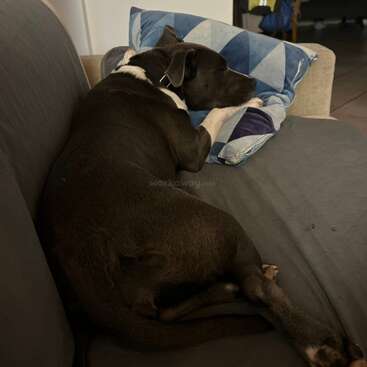 Profile photo of Lily