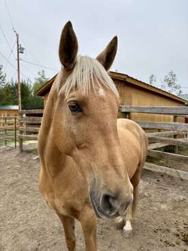 Profile photo of Lefty