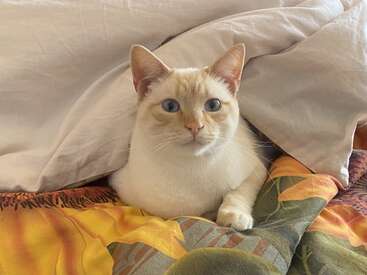 Profile photo of Harry