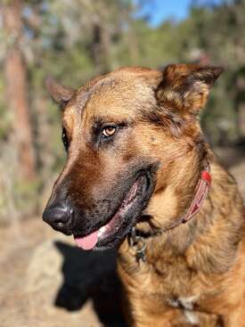 Profile photo of Kesem