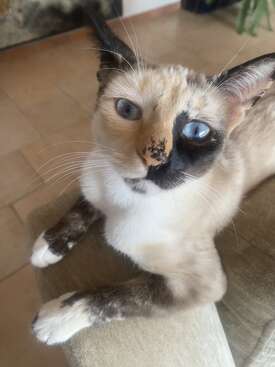 Profile photo of Sally