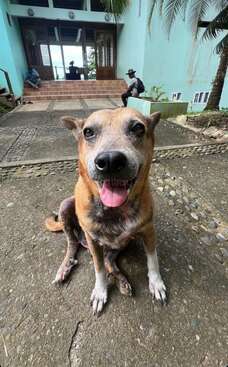 Profile photo of Basu