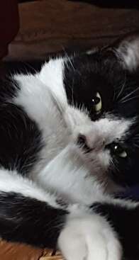 Profile photo of Hunter