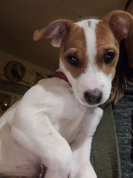 Profile photo of Crackerjack 