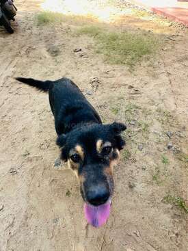 Profile photo of Buula