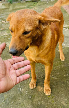 Profile photo of Pinki