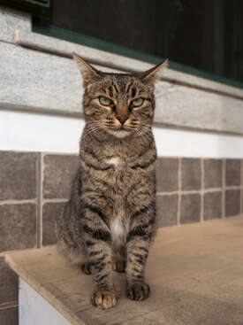Profile photo of Mama