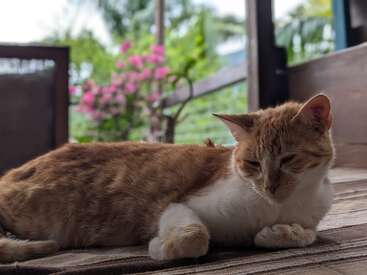 Profile photo of Nam